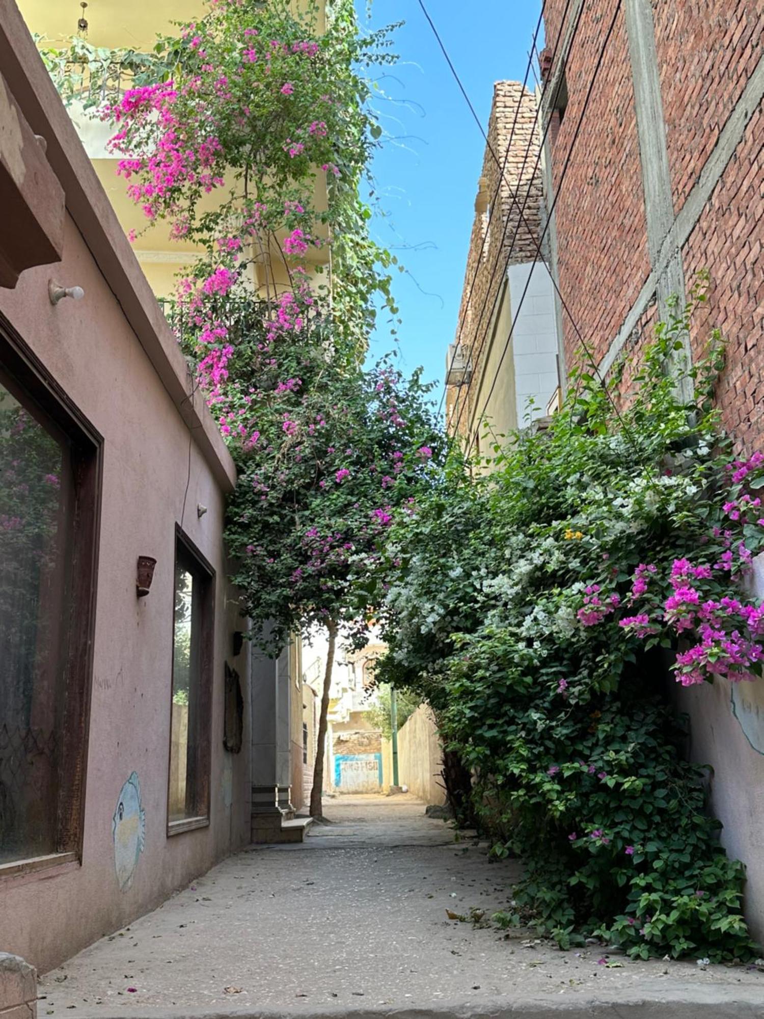 Harmony House Luxor Ξενοδοχείο Εξωτερικό φωτογραφία